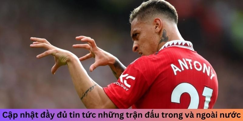 Cập nhật đầy đủ tin tức những trận đấu trong và ngoài nước