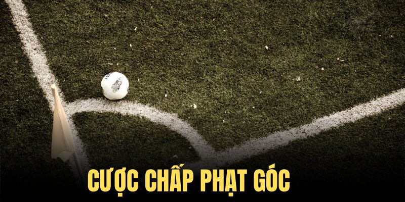 Dạng cược chấp trong kèo phạt góc bóng đá