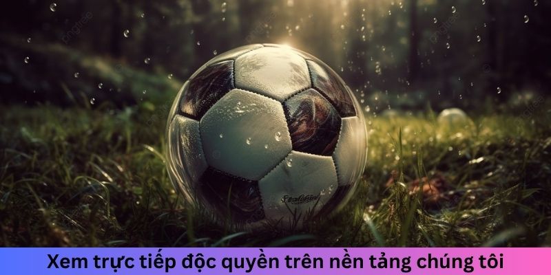 Xem trực tiếp độc quyền trên nền tảng chúng tôi