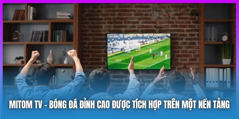 Điểm Sáng Làm Nên Sự Thành Công Của Mitom TV