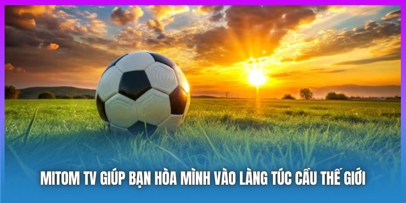 Hướng Dẫn Xem Bóng Đá Trực Tuyến Trên Mitomtv.futbol